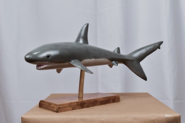 Great White Shark