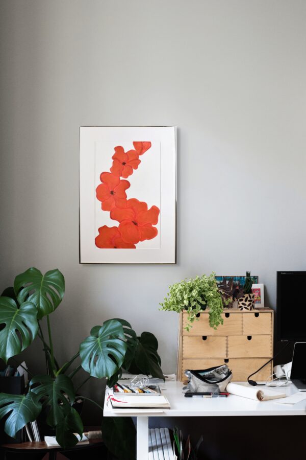 Poppies - Image 2