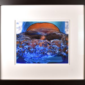 Swimmer