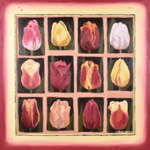 Tulips